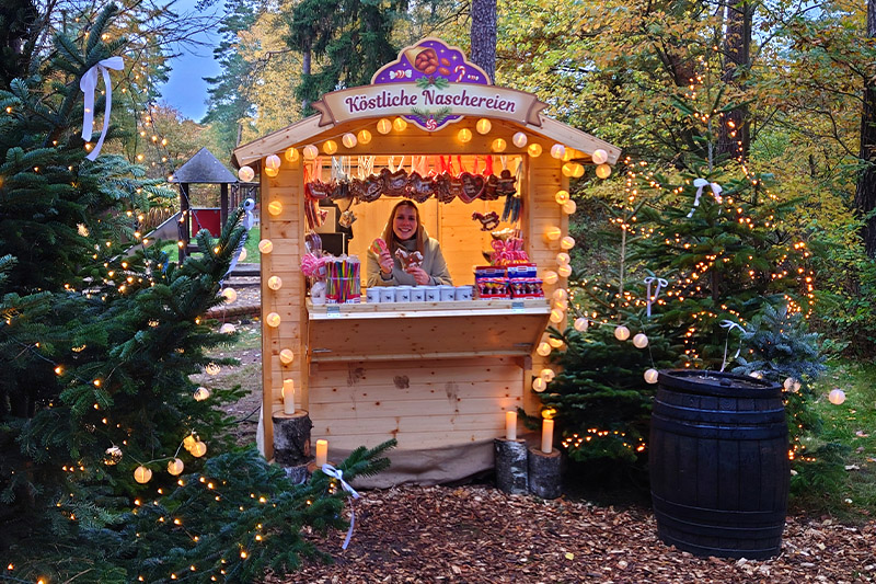 Magischer Lichterwald